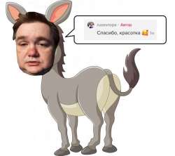 asdf.jpg