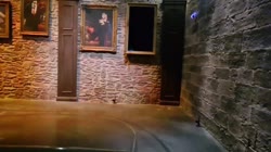 16205255298520.mp4
