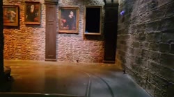 16205255298520.mp4