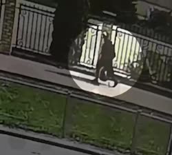 16207269299810.mp4