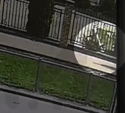 16207334921510.mp4