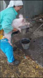 16208204809800.mp4