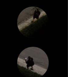15976162763800.jpg