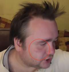 pig.png