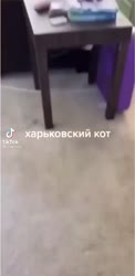 1562734554750.mp4