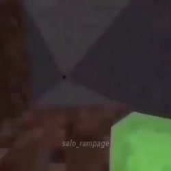 1565344975298.mp4