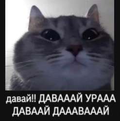 16057050796351.jpg