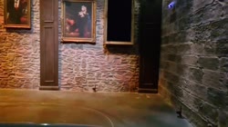 1620525529852654.mp4