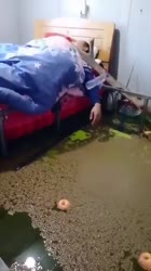 1621030261461.mp4