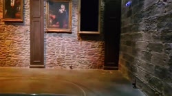 1620525529852654.mp4