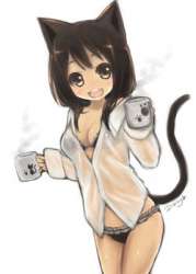 250px-Anime-chaj.jpg
