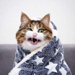 A51E3020-F6C7-40D7-8AC1-EEEEDEAF5613.jpeg