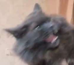 12209633.png