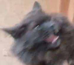 174005675.png