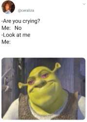 1622222646096.jpg