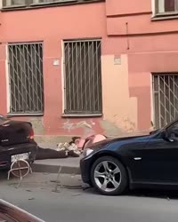 193770106.mp4