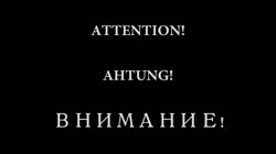 363463.webm
