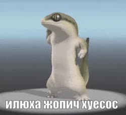 15955553410030.mp4