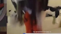 16103410483300.mp4