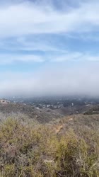 2021-06-02-02h56m.2586809901460369600.mp4