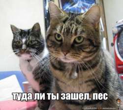 FBA05A54-1626-4CB0-A672-CCF3060F5824.jpeg