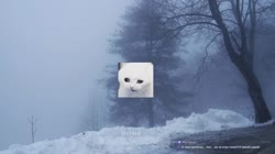 1416453535453.mp4