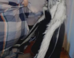 сиськи слонки.webm