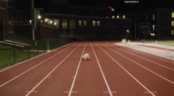 16221274608883.mp4