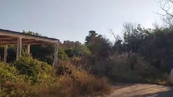 15950301791303.mp4