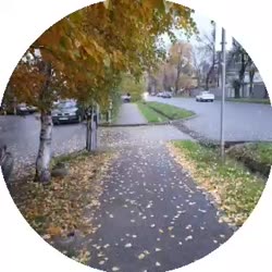 doc2019-10-3016-37-23.mp4