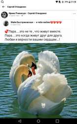 Screenshot-2021-07-10-21-08-32.png