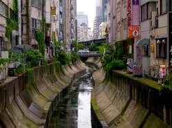 ShibuyaRiver01.jpg