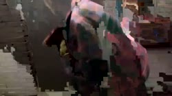 242.mp4