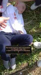 fad98c0f361d37a076be983efb2b277ffull.jpg