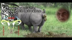 16272054436611.webm