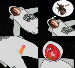 1627245521064.jpg
