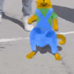 1586056613863.gif