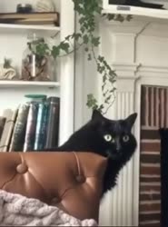 tmpgw7ijyp3.mp4