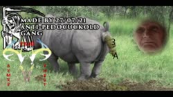 16272054436611.webm