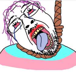 1627473034094.png
