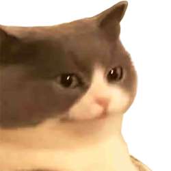1627284347301.png