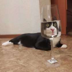 16277231135560[1].jpg