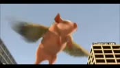 1611847498398ой0.mp4