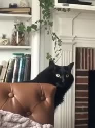 tmpgw7ijyp3.mp4