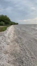 16277701167130[1].webm