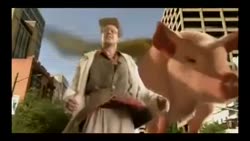 ой2.mp4