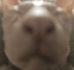IMG20211211172258.jpg