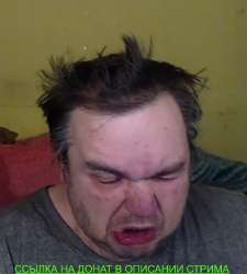донатим.jpg
