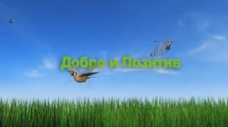 =Добро и Позитив=.mp4