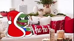 1605451099036.mp4
